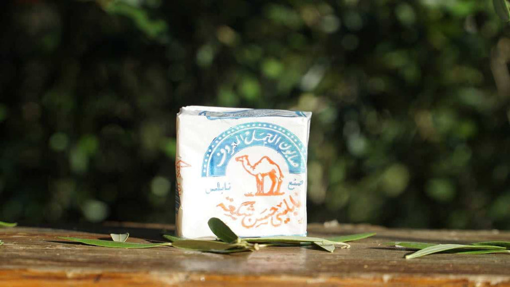 The Camel - Palestinian 100% Olive Oil Soap from Nablus detail view 4 – Hill Station Ashland