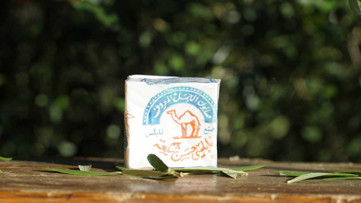 The Camel - Palestinian 100% Olive Oil Soap from Nablus detail view 4 – Hill Station Ashland