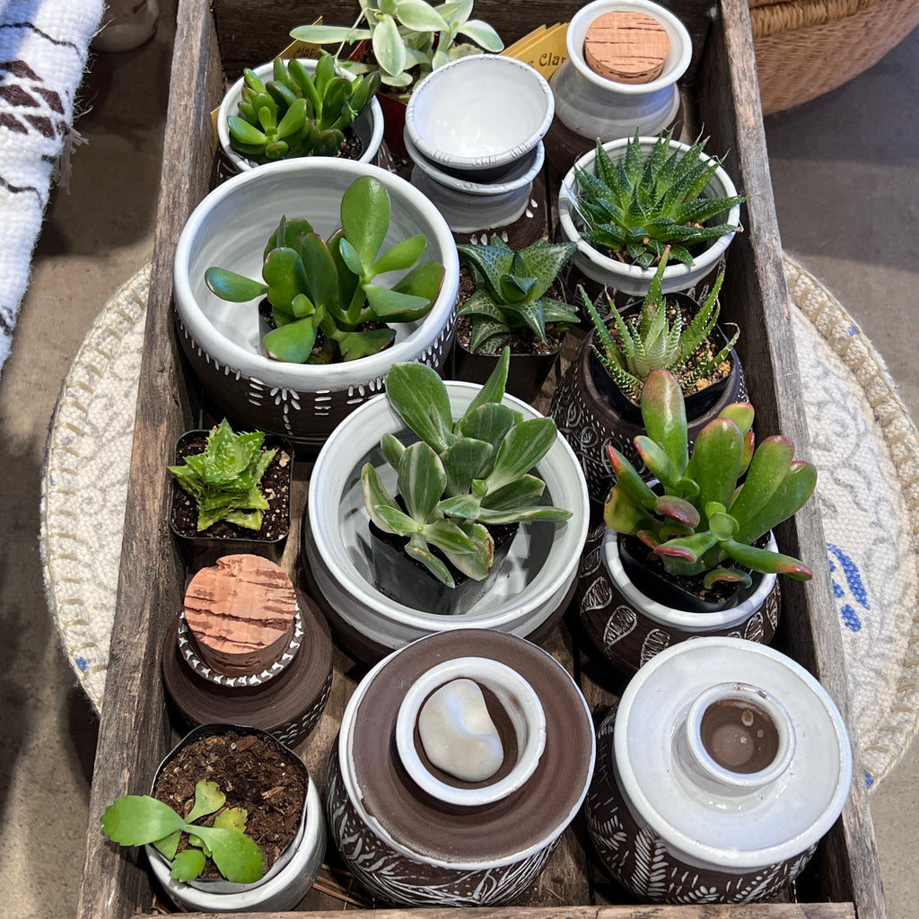 Honey Wine Clay Collection – Hill Station Ashland