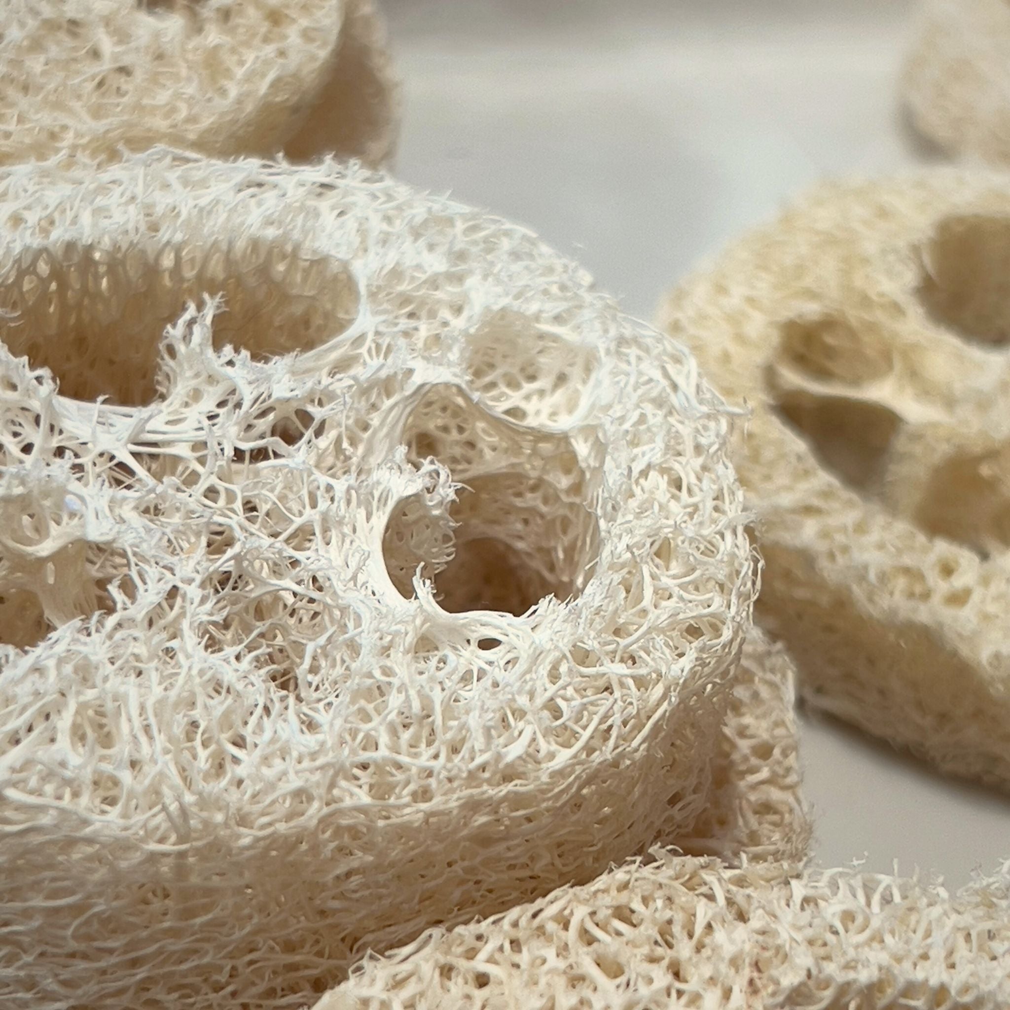 Loofah Rounds