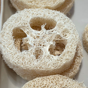 Loofah Rounds