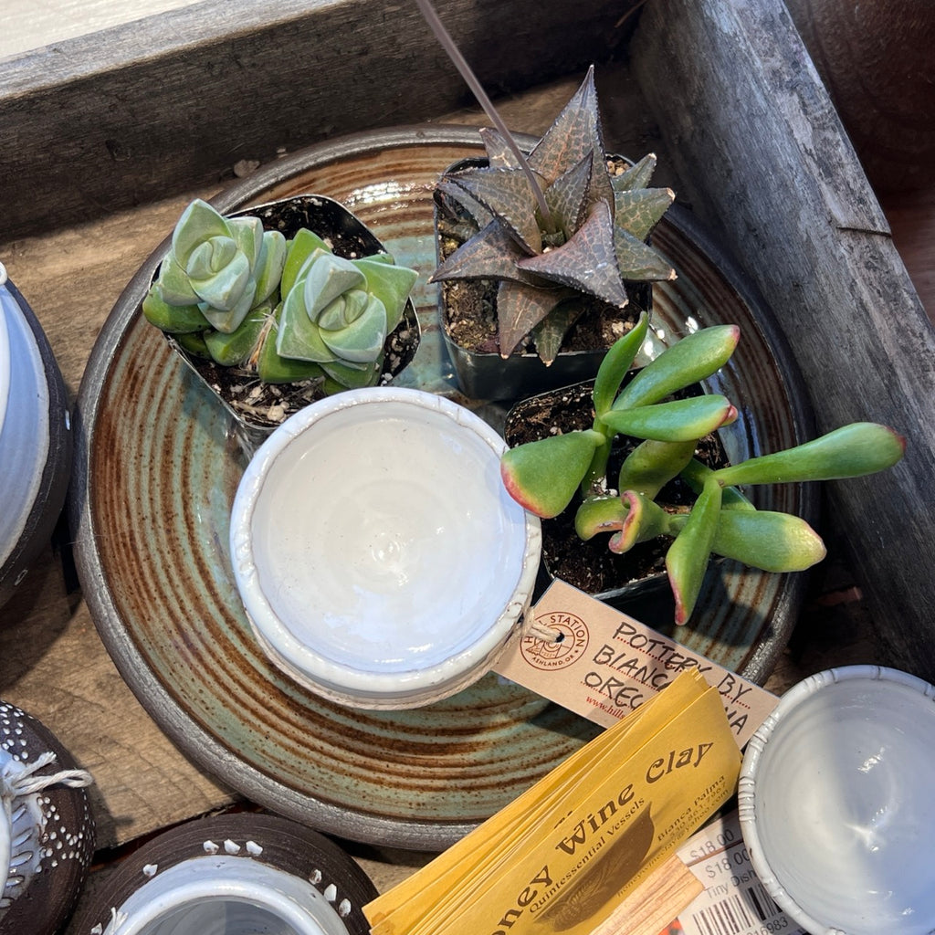 Honey Wine Clay Collection Large Pieces detail view 7 – Hill Station Ashland