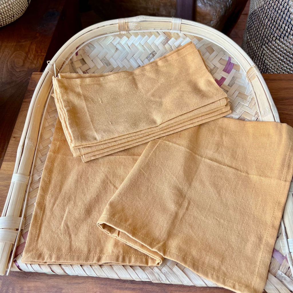 Handloomed Napkins 2 of 2 detail view 2 – Hill Station Ashland