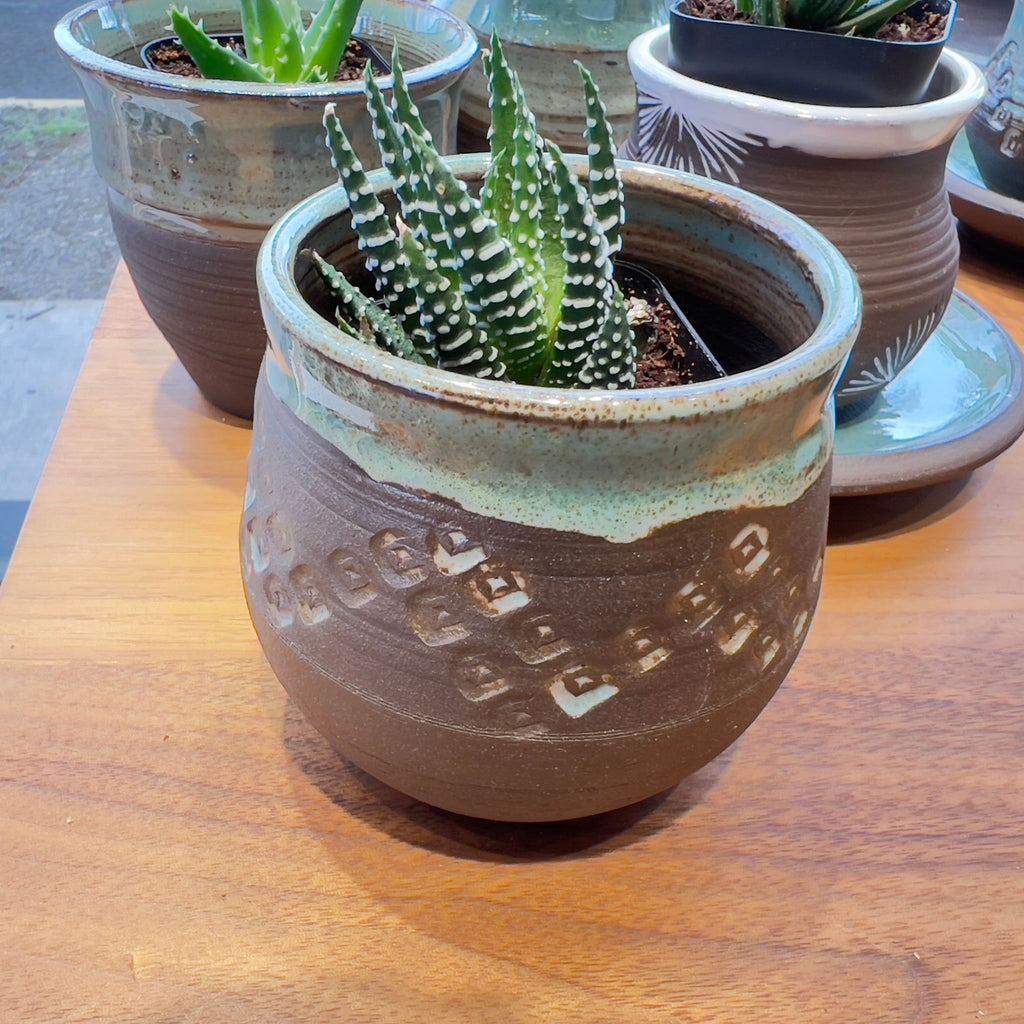 Honey Wine Clay Collection: Small Planters & Vases detail view 16 – Hill Station Ashland