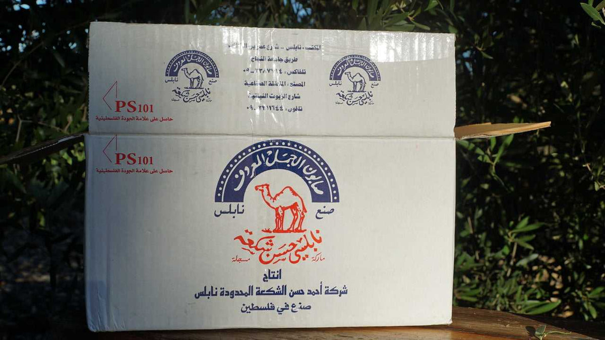 The Camel - Palestinian 100% Olive Oil Soap from Nablus detail view 6 – Hill Station Ashland