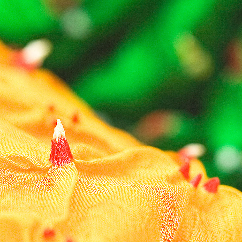 Silk Bandhni Scarves