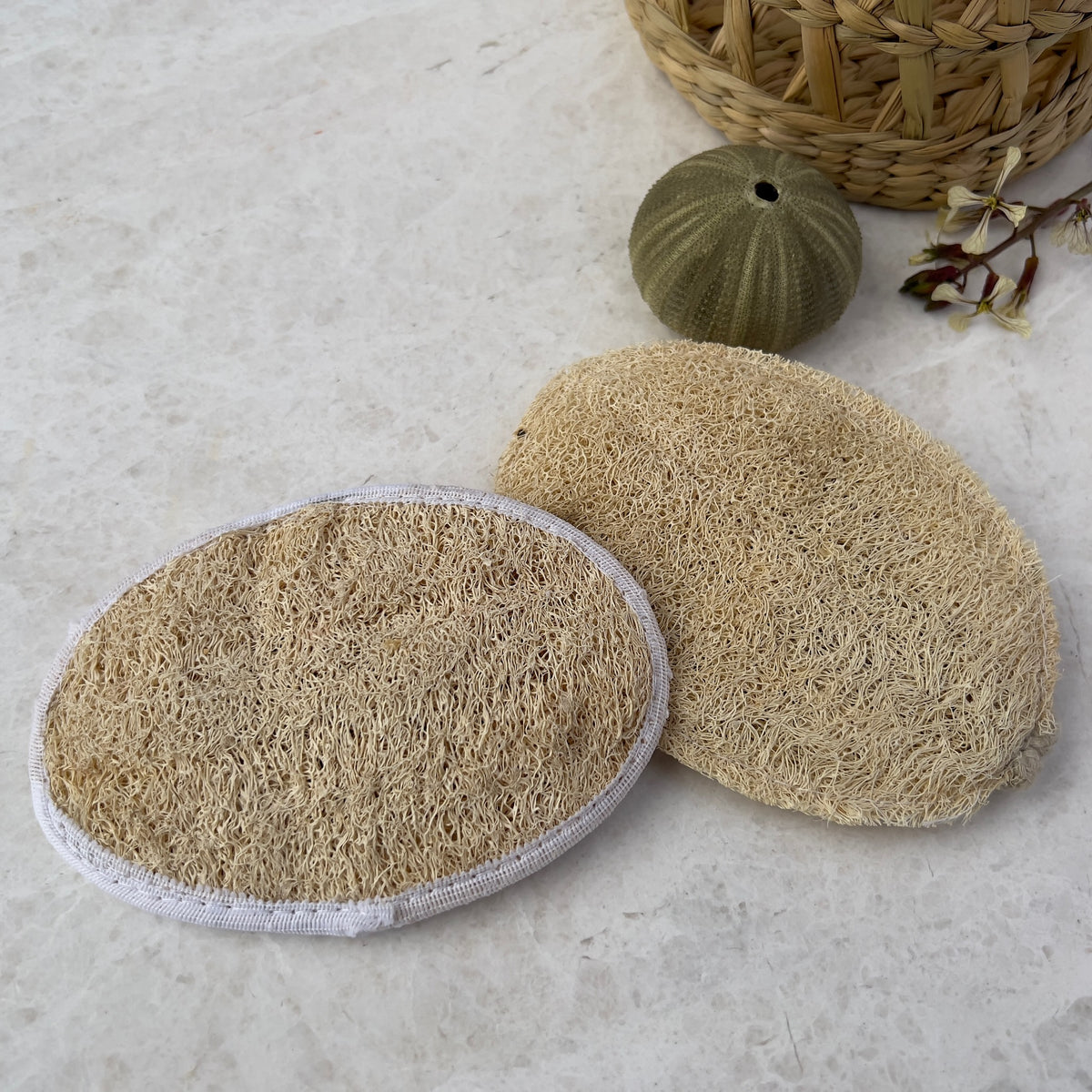 Oval Loofah detail view 2 – Hill Station Ashland