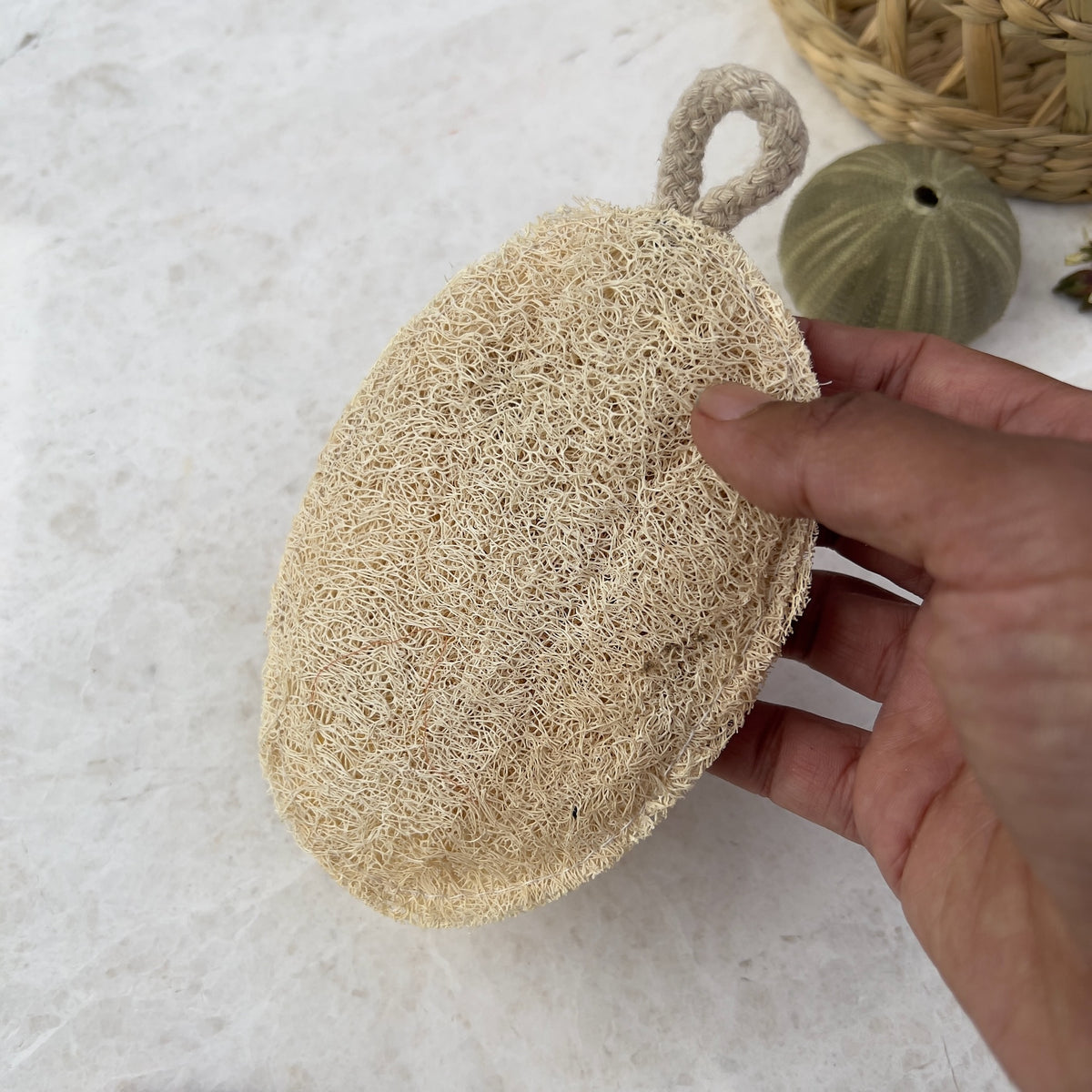 Oval Loofah – Hill Station Ashland