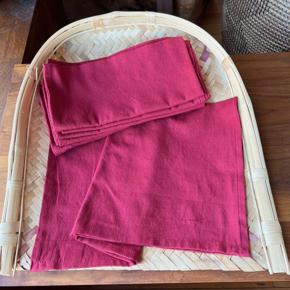 Handloomed Napkins 1 of 2 detail view 2 – Hill Station Ashland